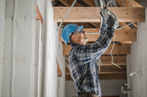 Best Electric Panel Repair  in Carbondale, CO